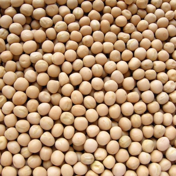 SS No.1 Vellai pattani / White peas (dried)
