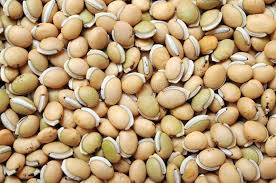 SS No.1 Sigappu Mochai / Lima beans