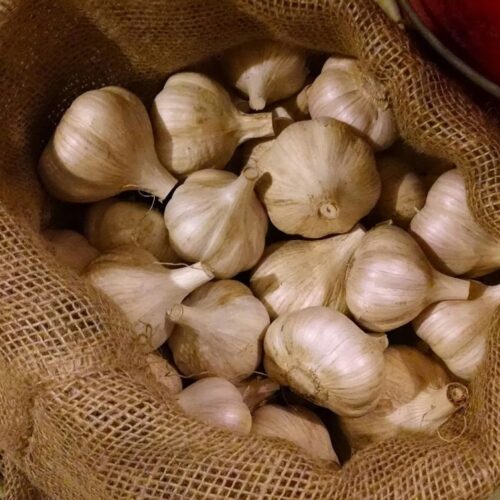 SS No.1 Malai poondu / hill garlic ( Premium)