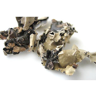 SS No.1 Kalpasi poo / Black stone flower