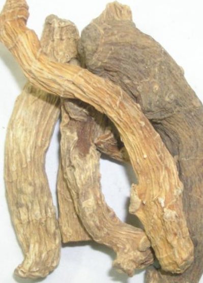 வசம்பு / vasambu