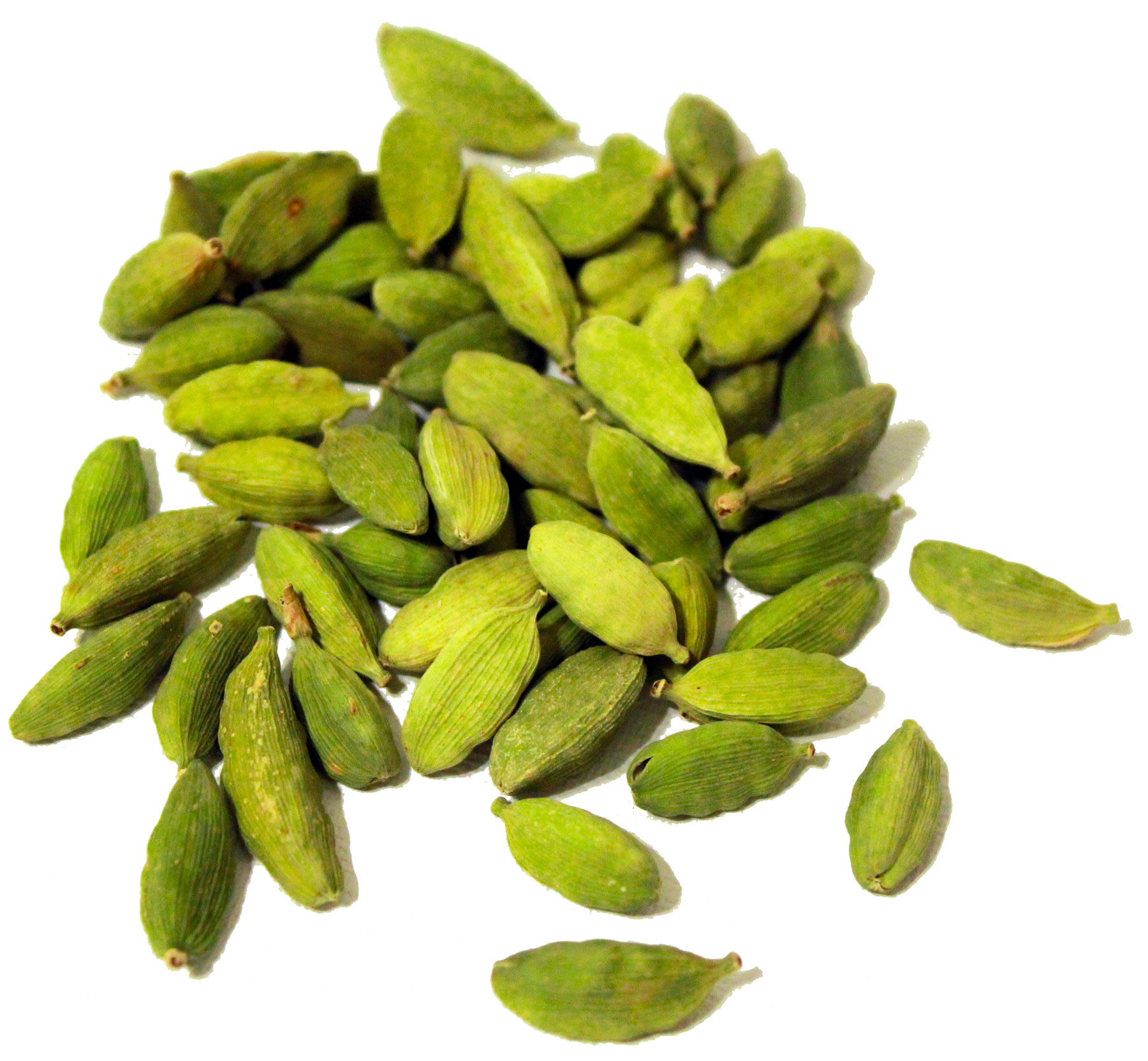 SS No.1Elakai / cardamom