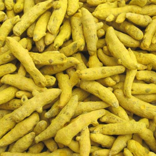 SS No.1 விரலி மஞ்சள் / Virali Manjal