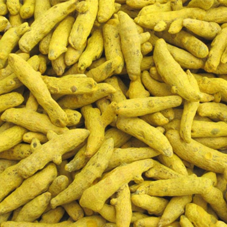 SS No.1 விரலி மஞ்சள் / Virali Manjal