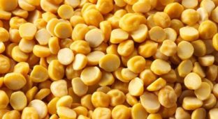 SS No.1 Spl Kadalai paruppu / Channa dal / gram dal