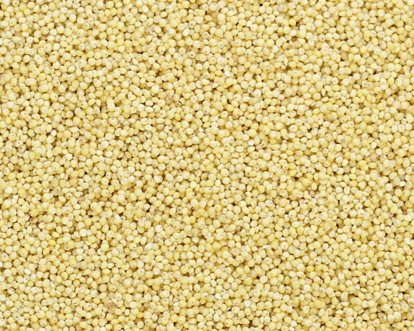 SS No.1 Saamai arisi (சாமை அரிசி) / little millet(Branded Packed)