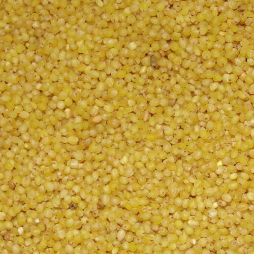 SS No.1 Thinai arisi (தினை அரிசி) / foxtail millet(Branded Packed)