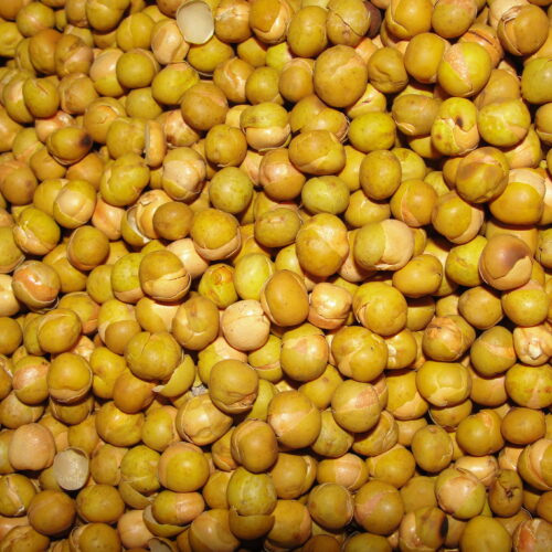 SS No.1 Varutha pattani / Roasted peas