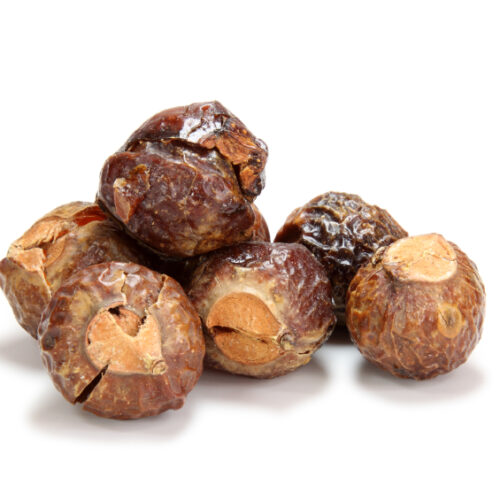 Boonthikotai / பூந்திக்கொட்டை / soap nuts