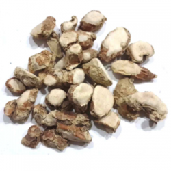 poolankilangu / பூலாங்கிழங்கு / Spiked Ginger