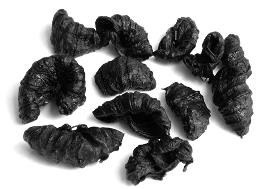 Kudampuli / கொடம்புளி / Garcinia Cambogia