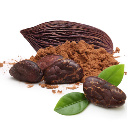 Cocoa Powder