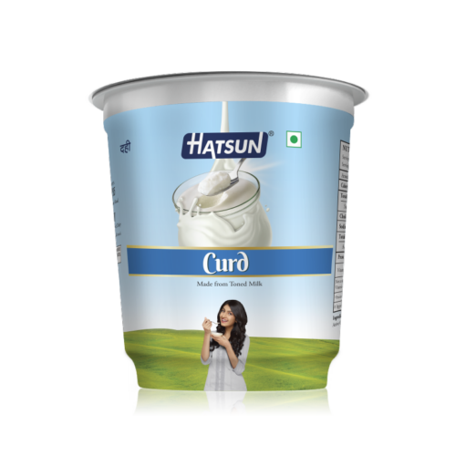 Hatsun curd 400g