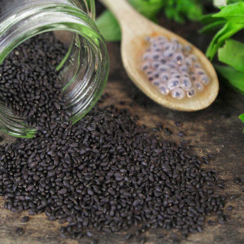 Sabja Seeds / Basil Seeds 100g