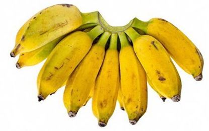 Fresh Malai Vazhai / மலை வாழைபழம் 6pcs