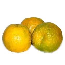 Fresh Kamala Orange / ஆரஞ்சு 1KG