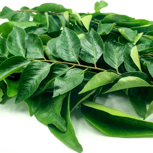 Fresh Curry Leafs/கறிவேப்பிலை - Small Bunch