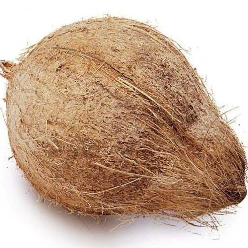 Coconut Medium / தேங்காய் - 1pc