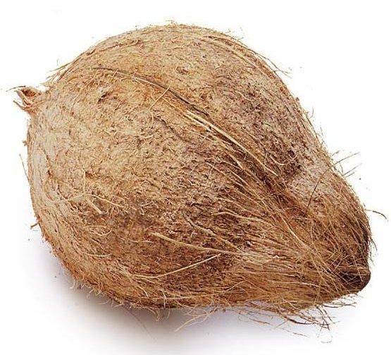 Coconut Medium / தேங்காய் - 1pc