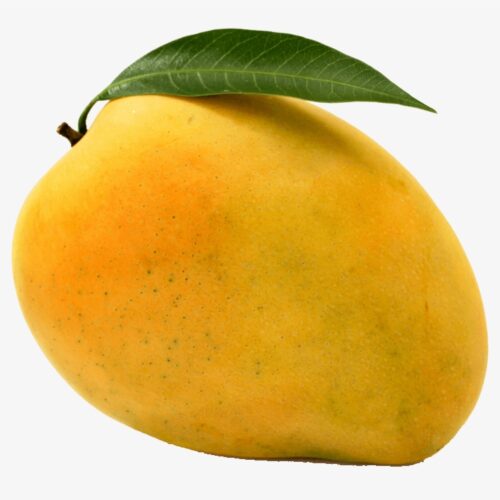 Fresh Mango Banganapalli/ பங்கனபள்ளே- 1kg