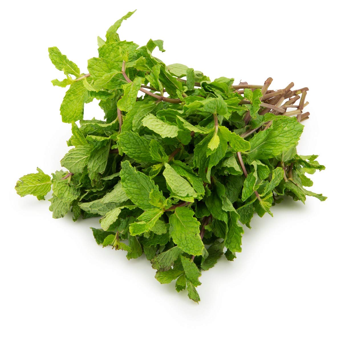 Fresh Mint Leafs/ புதினா - Small Bunch