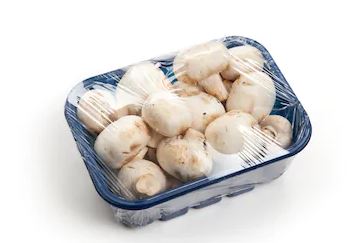 Fresh Mushroom / காளான் packed