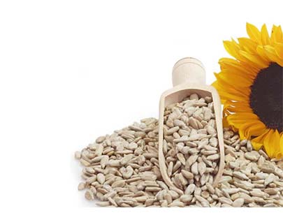 Sunflower Seeds | சூரியகாந்தி விதை | 100gms