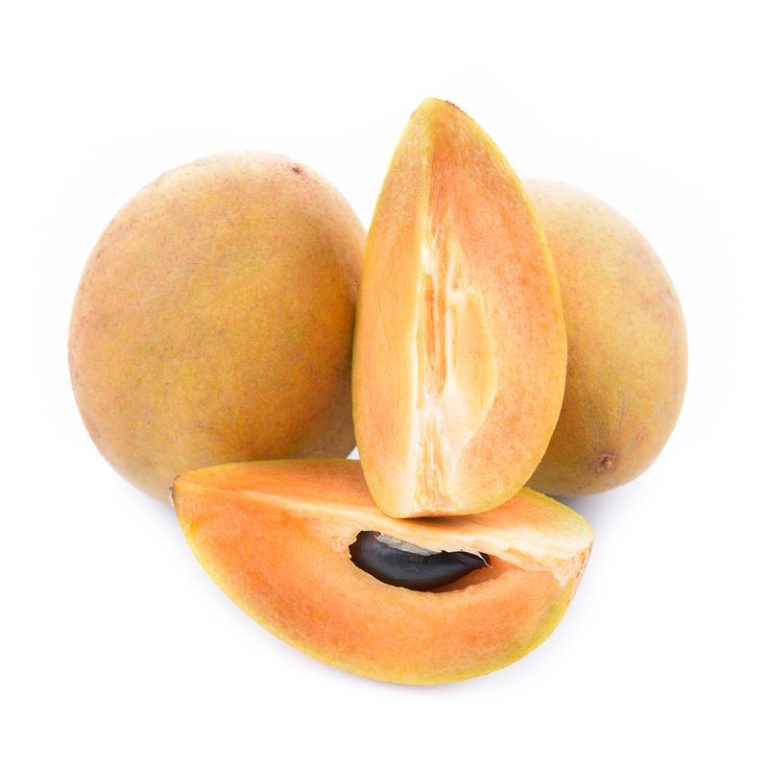 Fresh Chikku / சப்போட்டா 500gms