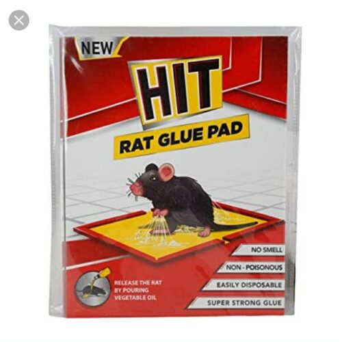 Hit Rat Glue Pad Small