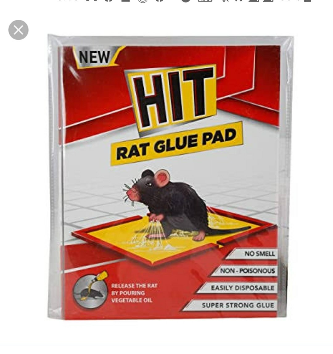 Hit Rat Glue Pad Small