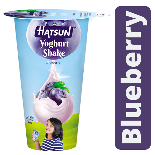 Hatsun Blueberry Yoghurt Shake